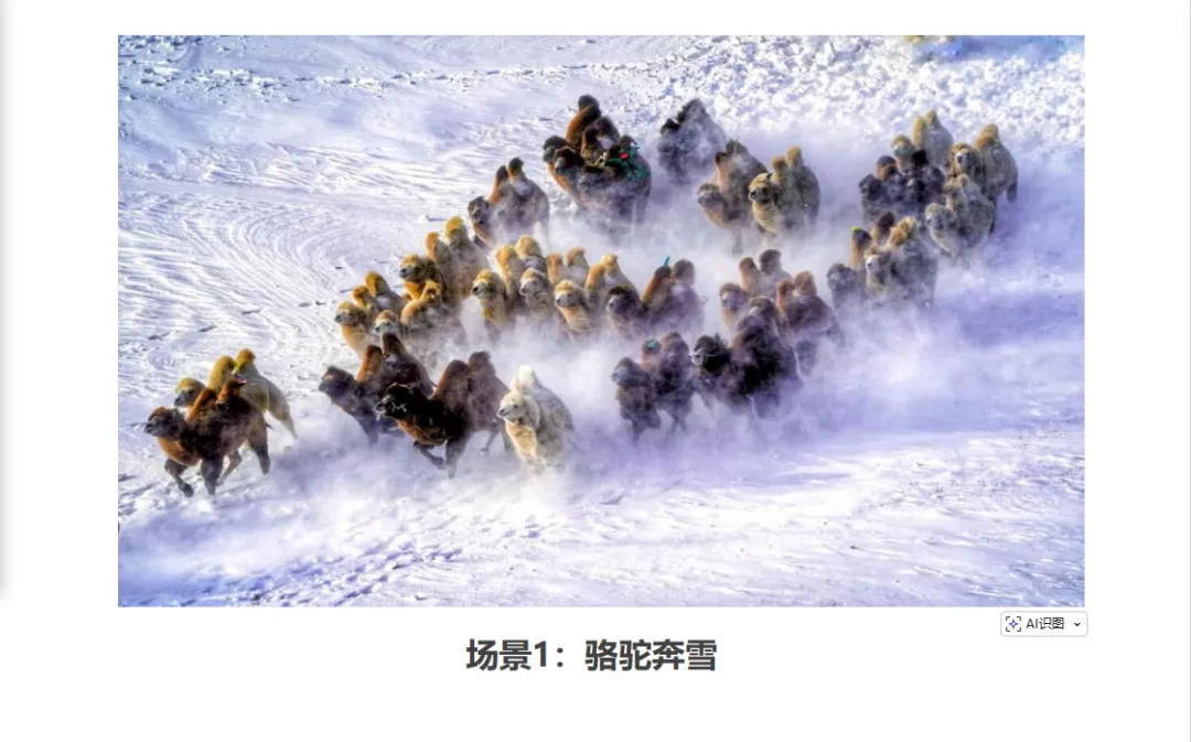 c0ac31e5e33e5bdcbb8cd5196a344059-sz_761469