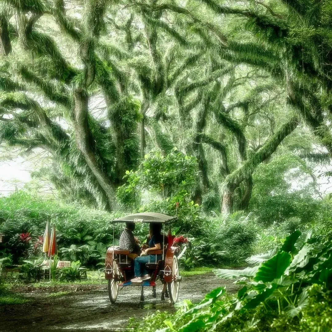 c0cebbe8f23ffbcf83fc6564803dee99-sz_935703