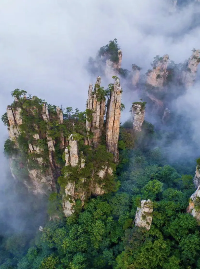 c0d19b2f7c4869a3f70538f56d017985-sz_2191415-1 c0d19b2f7c4869a3f70538f56d017985-sz_2191415-1