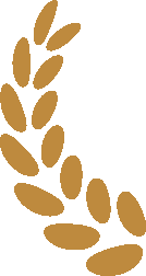 c0e5ed8ab0d8ec4c0628332e2ca6adcd-sz_2336-7