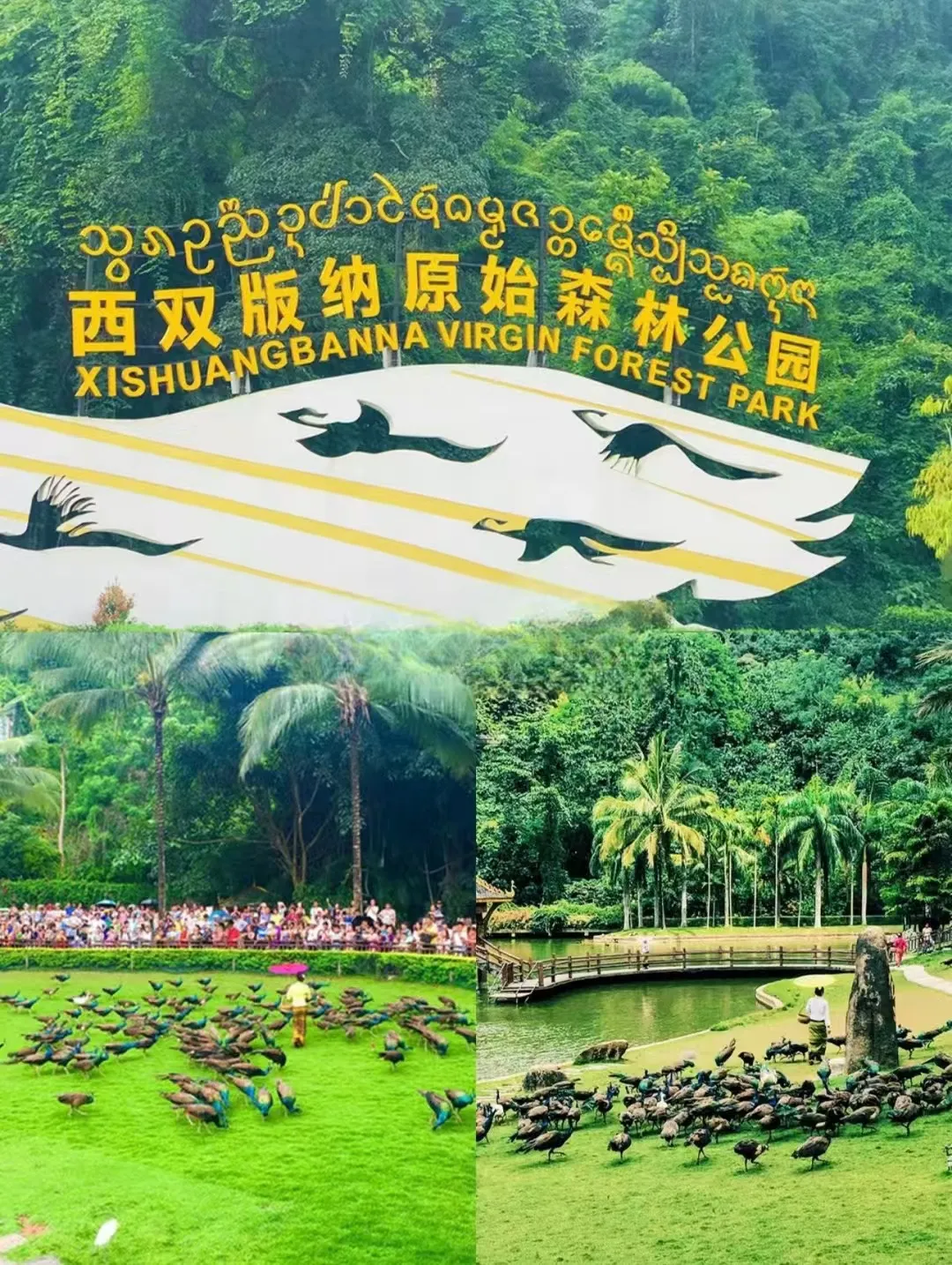 c1224be51146f37cacdaeb12a59559ce-sz_545674