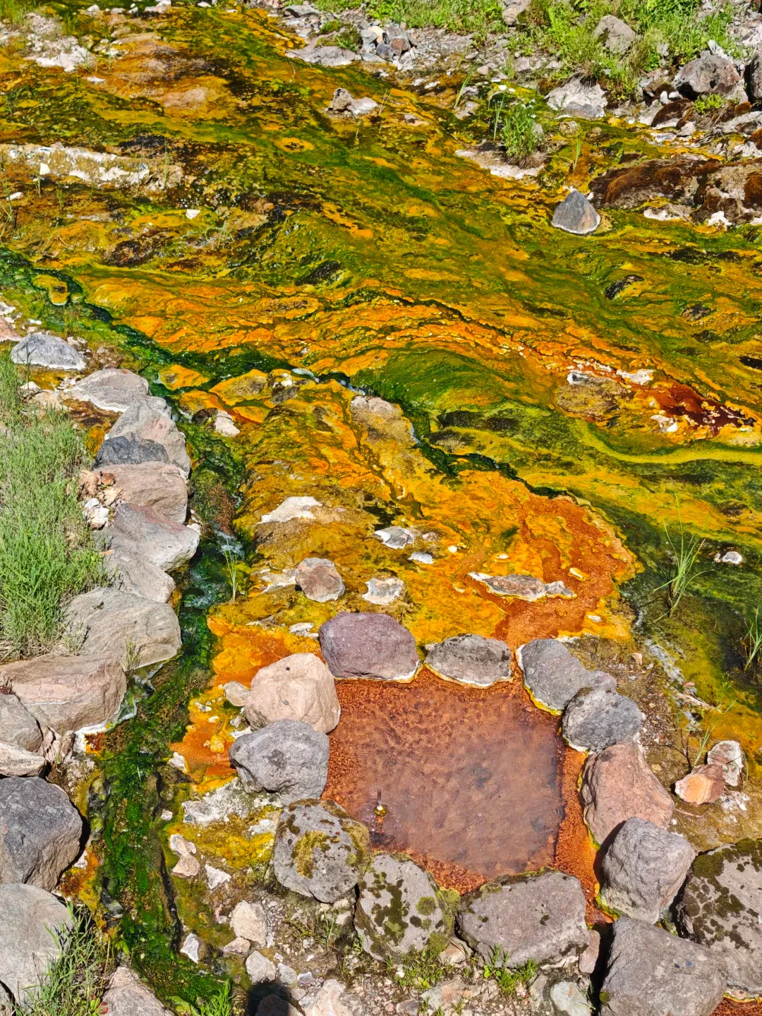 c137c93d4d0a900e4b6418af5c4bc6e1-sz_3687234