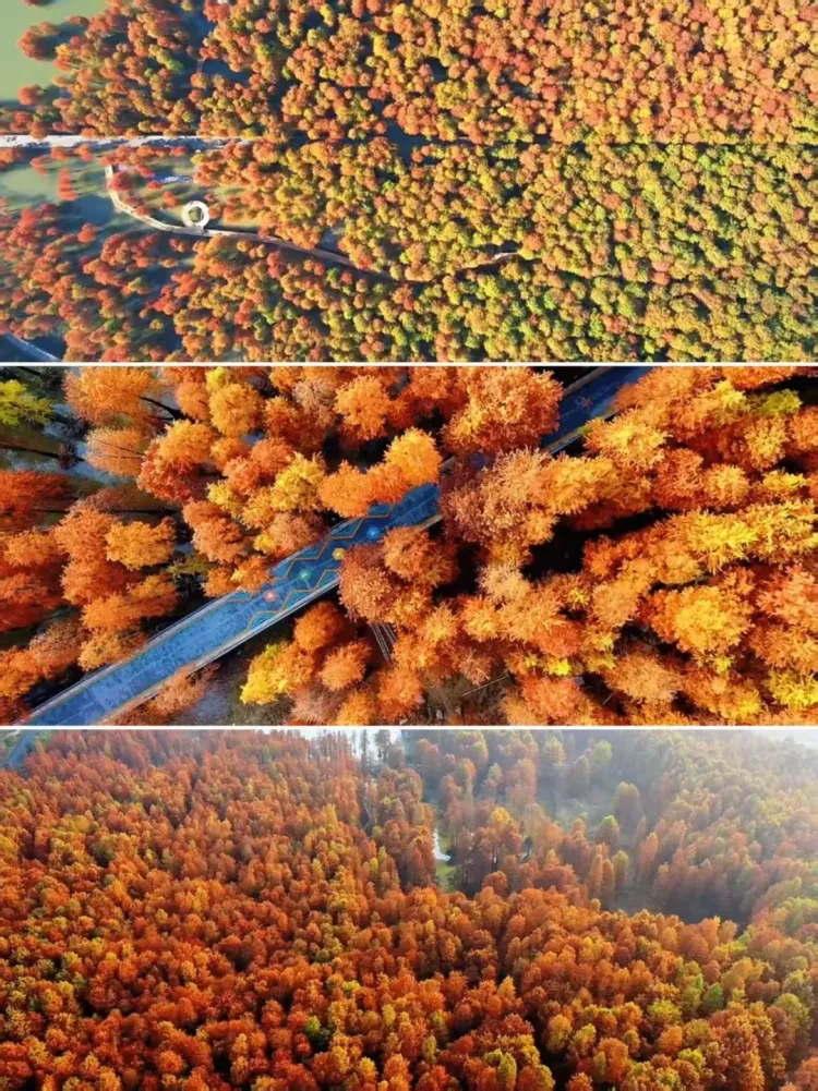 c137fb7fb114418b0aec042af6f1f2de-sz_4428565