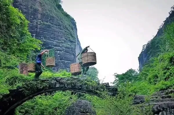 c18e2d40c4662b1875e35971e64c5ae9-sz_66225 c18e2d40c4662b1875e35971e64c5ae9-sz_66225