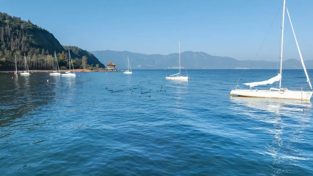 c18f8e99b27d82ba7da001e8d9474e9f-sz_222165