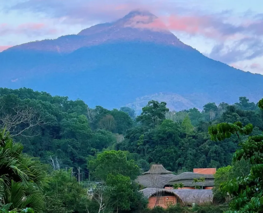 c1e494d836832fccbc8eace81fa43ed1-sz_2138083