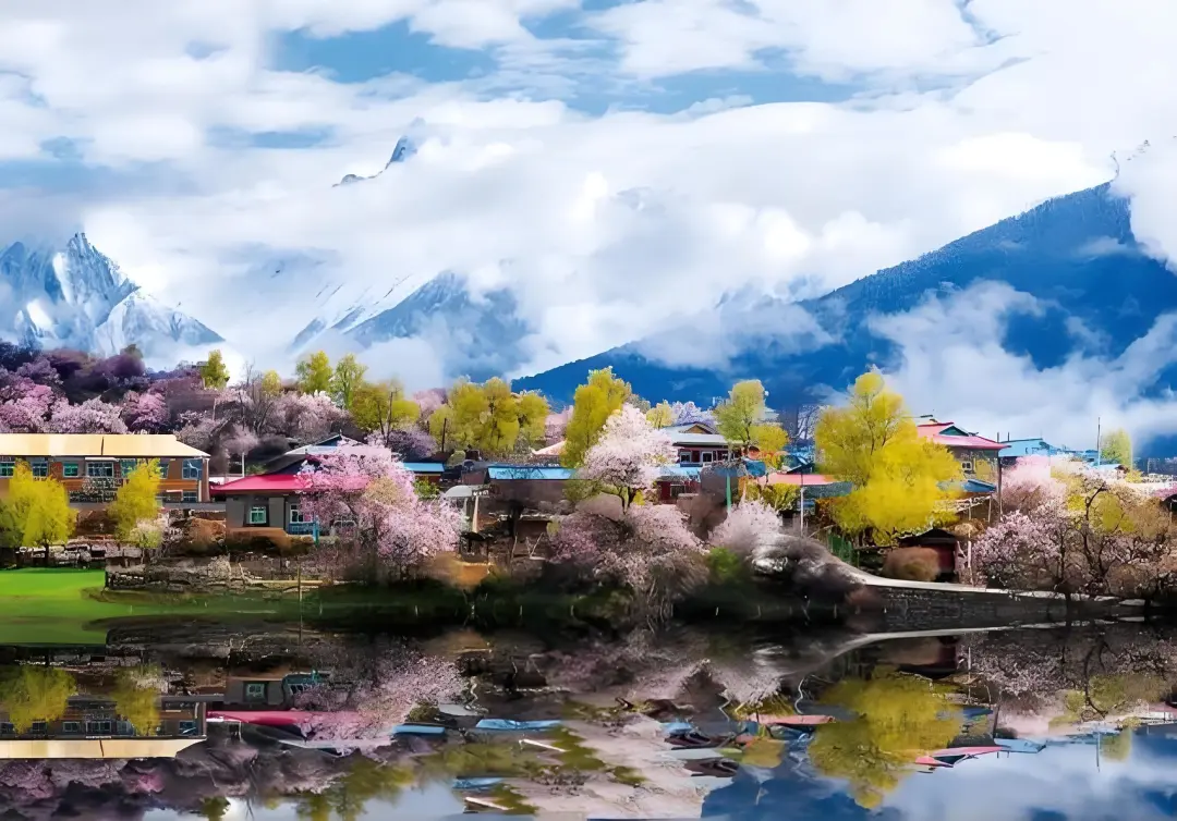 c1eb3c9fc206a65ffe3a68a617193b07-sz_567960