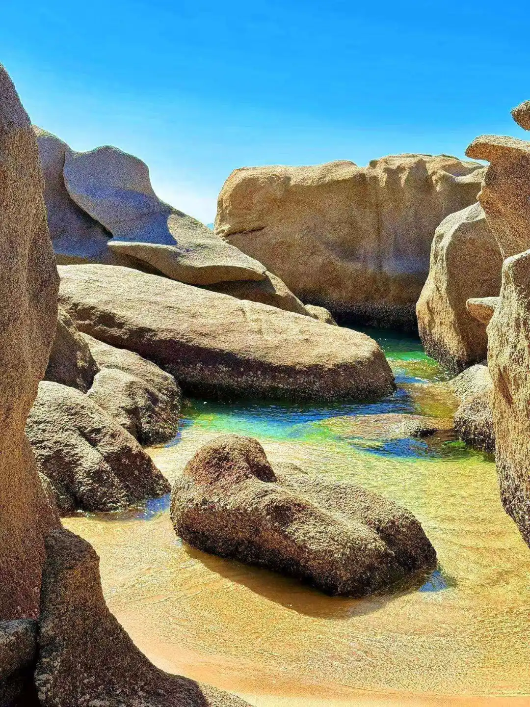 c23c23a2c9cb41b3fca3d63799258d08-sz_502101