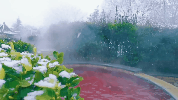 c2563234d9747237bd36833833755c5f-sz_3167252 c2563234d9747237bd36833833755c5f-sz_3167252