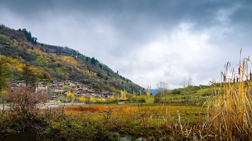 c25d36682721c0294cf211c7087428a1-sz_1153476 c25d36682721c0294cf211c7087428a1-sz_1153476