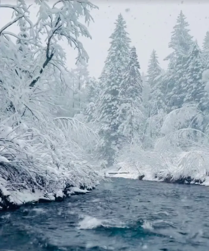 c28e223efd29300d818b0f629fe69cf1-sz_958923 c28e223efd29300d818b0f629fe69cf1-sz_958923