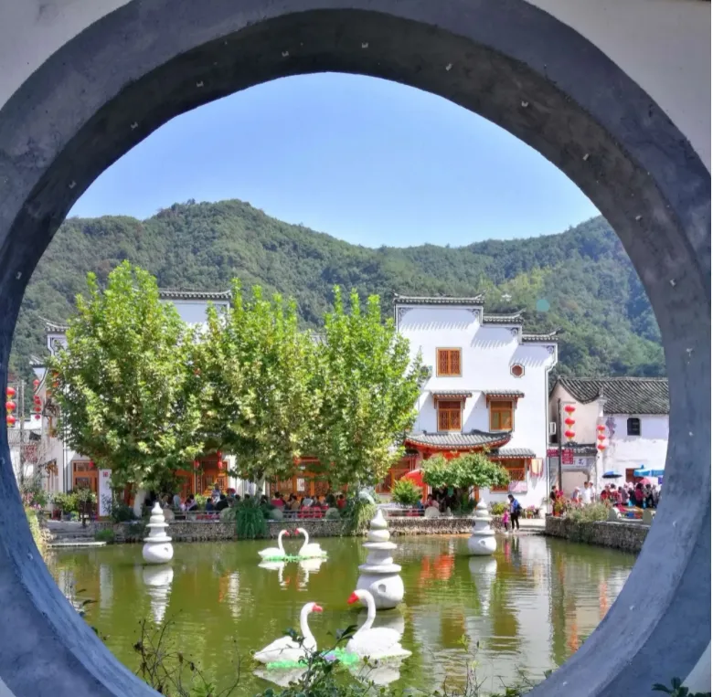 c296f9a7a097fa93dc60f581aba843cb-sz_443592