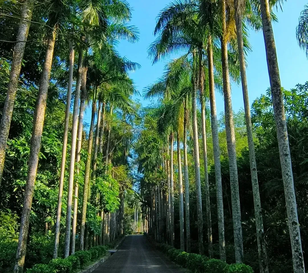 c2b1cd4b6027089a298c8f35ab73d69c-sz_3987545