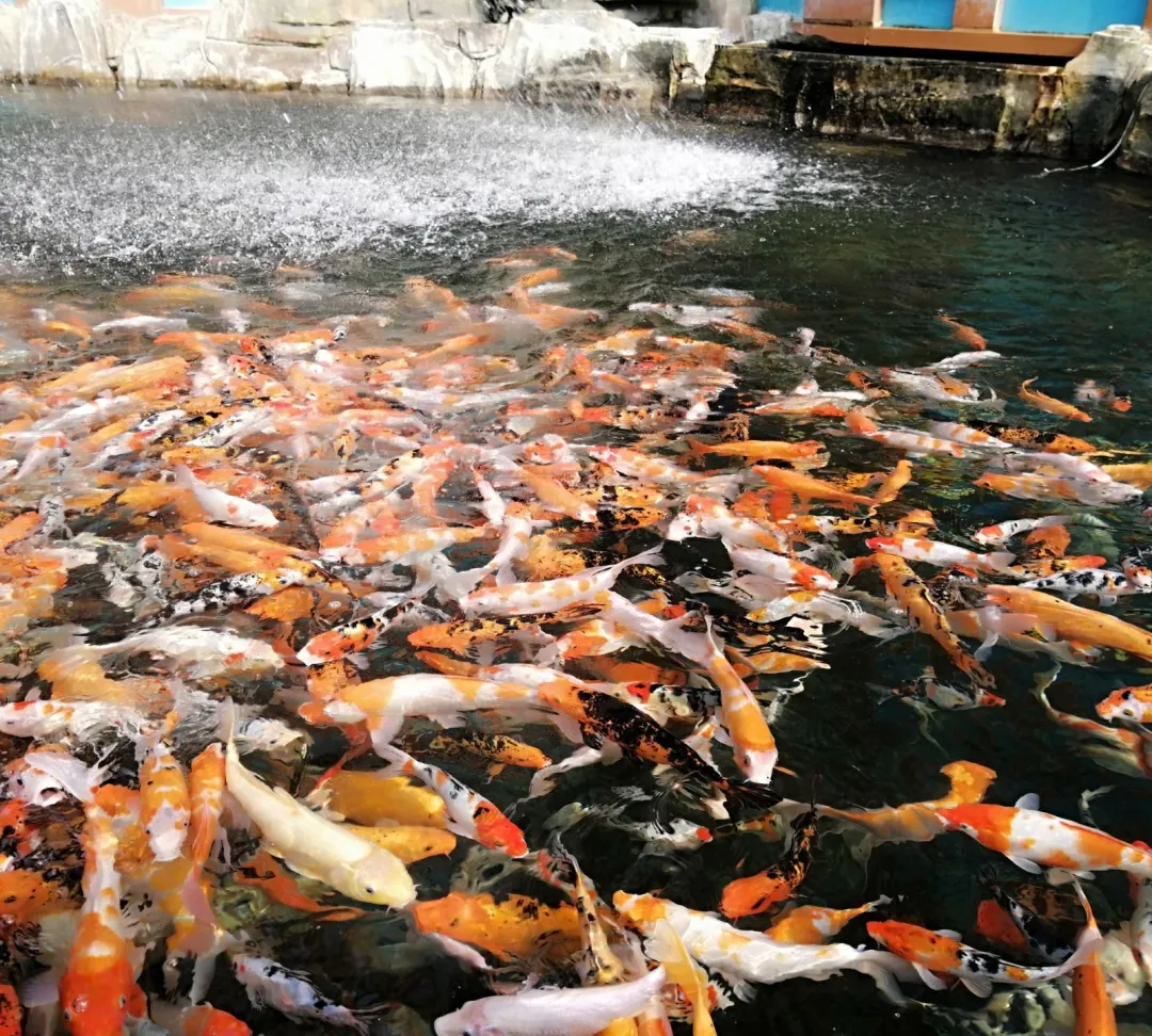 c3013e506931ca80c99d602989a24992-sz_496057 c3013e506931ca80c99d602989a24992-sz_496057