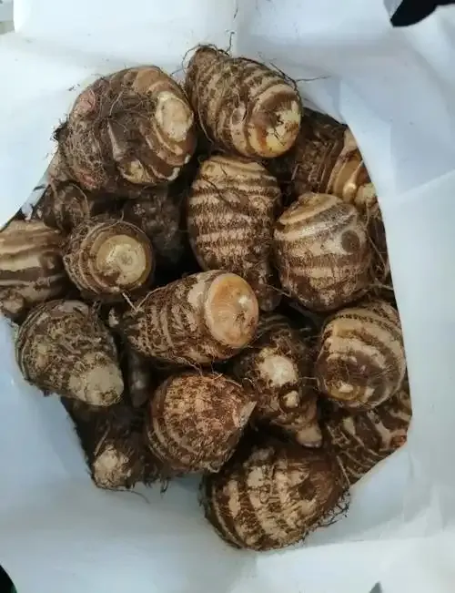 c30ca36294010ea66a622f58c28714a6-sz_577956 c30ca36294010ea66a622f58c28714a6-sz_577956