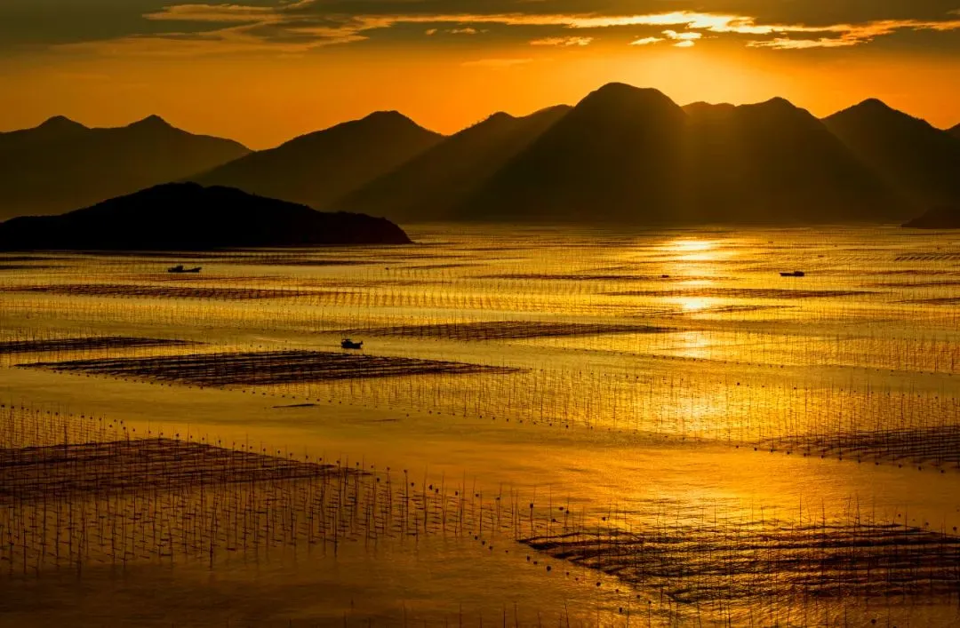 c312c8953bcaf7c45023cedb566e1028-sz_129257-1