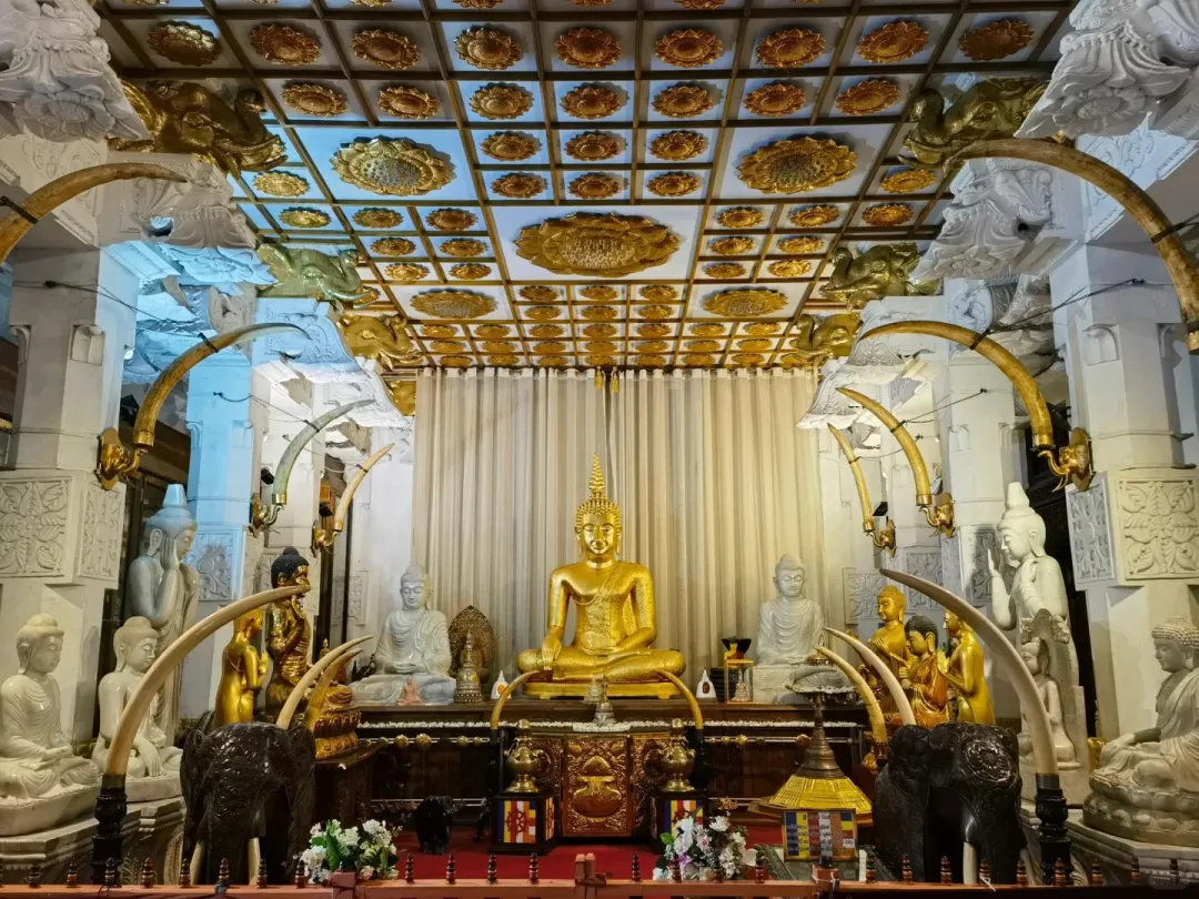 c31d1e64e4f5d8133e5ac924a8a5c25a-sz_3809811 c31d1e64e4f5d8133e5ac924a8a5c25a-sz_3809811