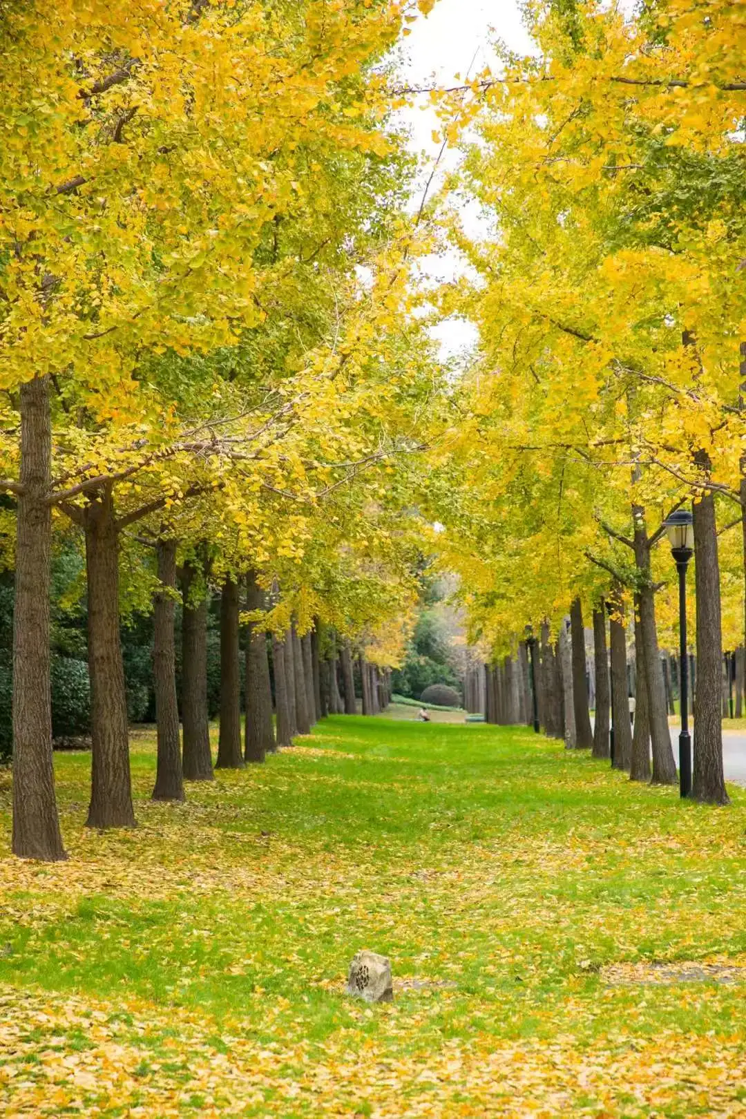 c33bd6355434c0a56f7df2eb2ebef0fe-sz_332526