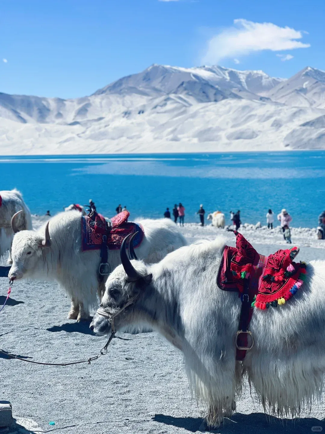 c3466852d3d0d3ccf7dc177afe2516a4-sz_2424919 c3466852d3d0d3ccf7dc177afe2516a4-sz_2424919