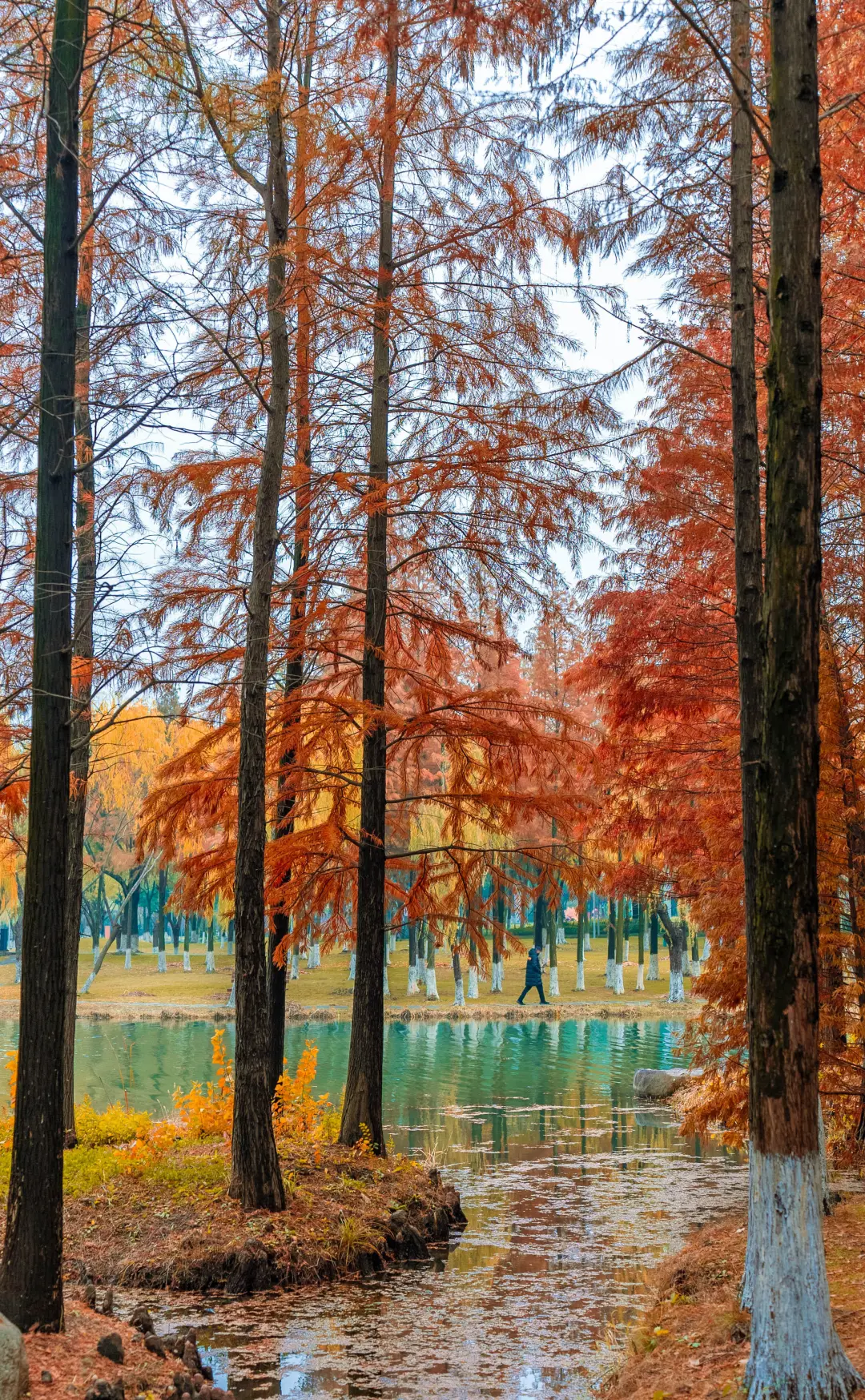 c390c64d8da9f801b11eeba36ad6880a-sz_2929385