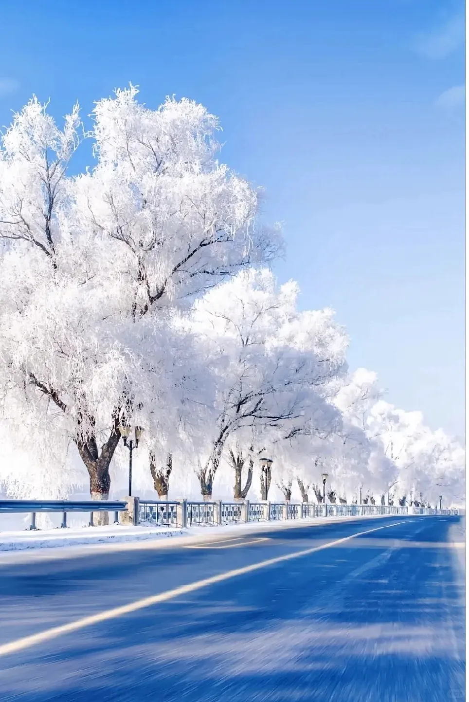 c39269f01ccb45146c4e9aaa53adc4c9-sz_333953 c39269f01ccb45146c4e9aaa53adc4c9-sz_333953