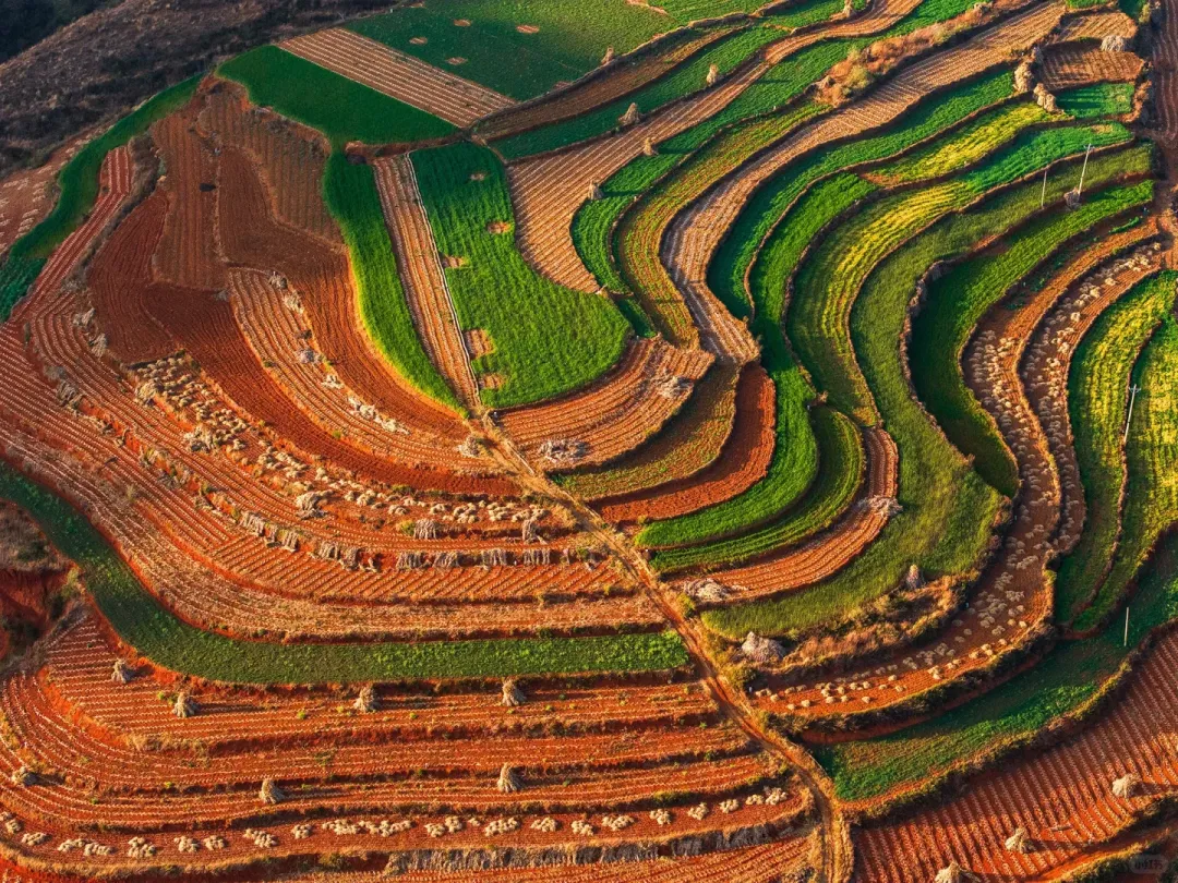 c394a832fa67ee54df22ae4bc008b245-sz_4847879