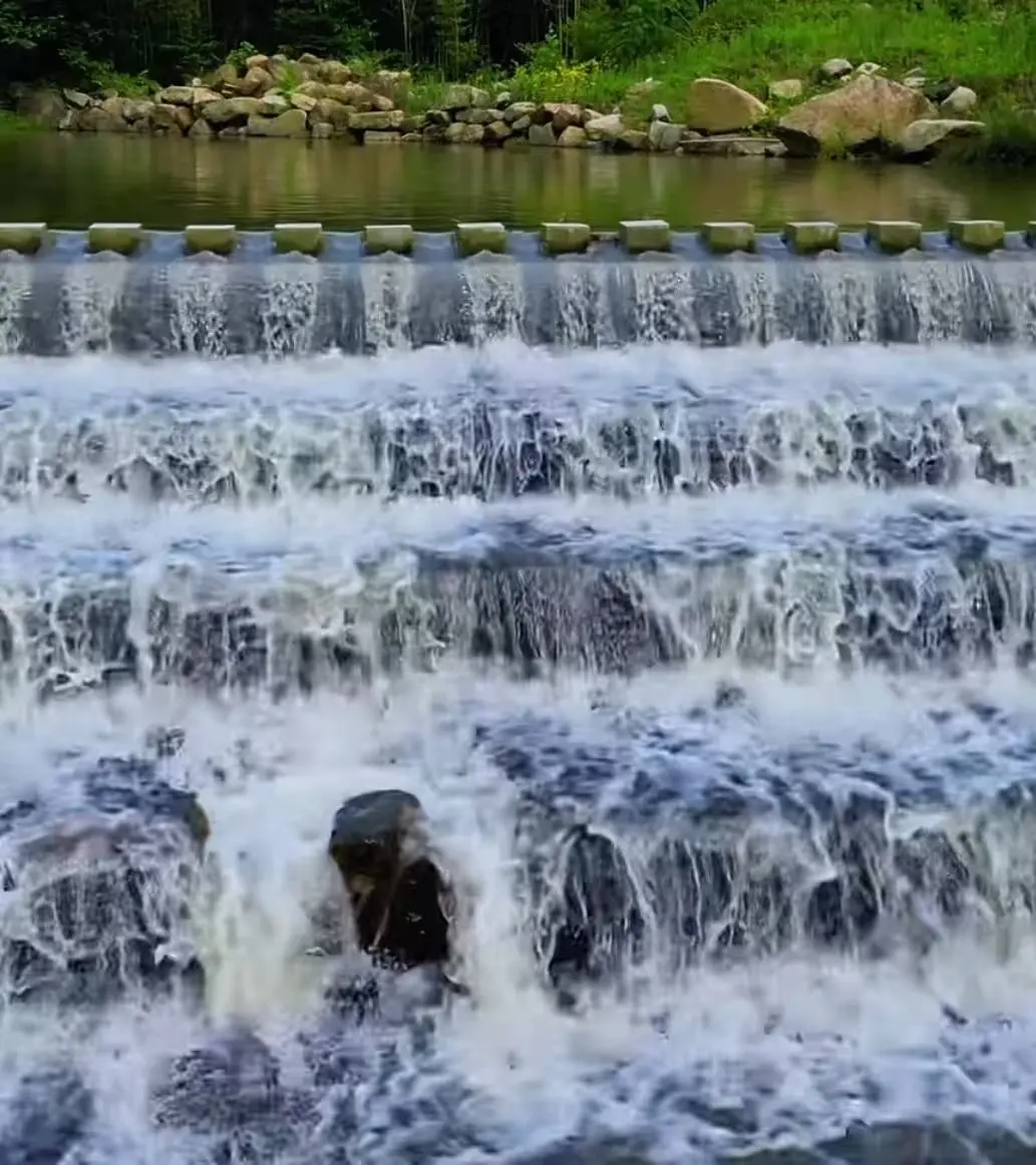 c3a7f63f1864fd1ec1a7d304b40737c7-sz_145838 c3a7f63f1864fd1ec1a7d304b40737c7-sz_145838