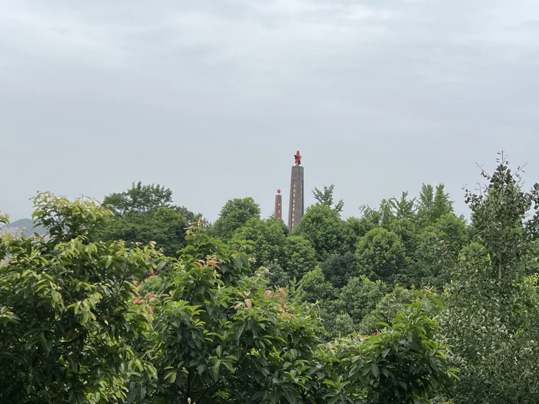 c3f16816f4d8c224cf926d09fa0da2d6-sz_2566510