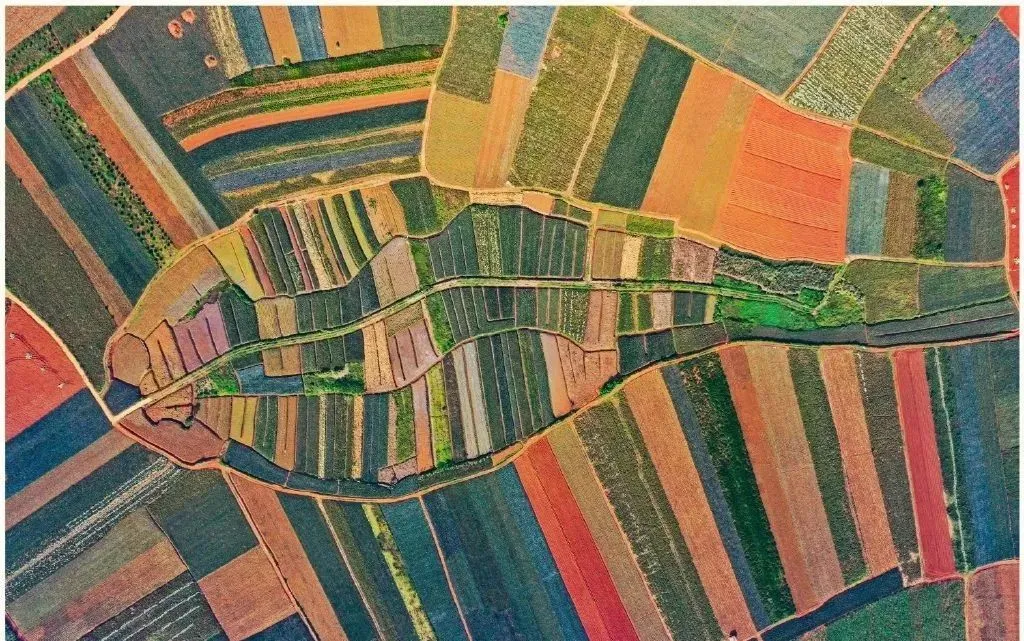 c3f6c5775471fdccbd9232962f3520b8-sz_218580