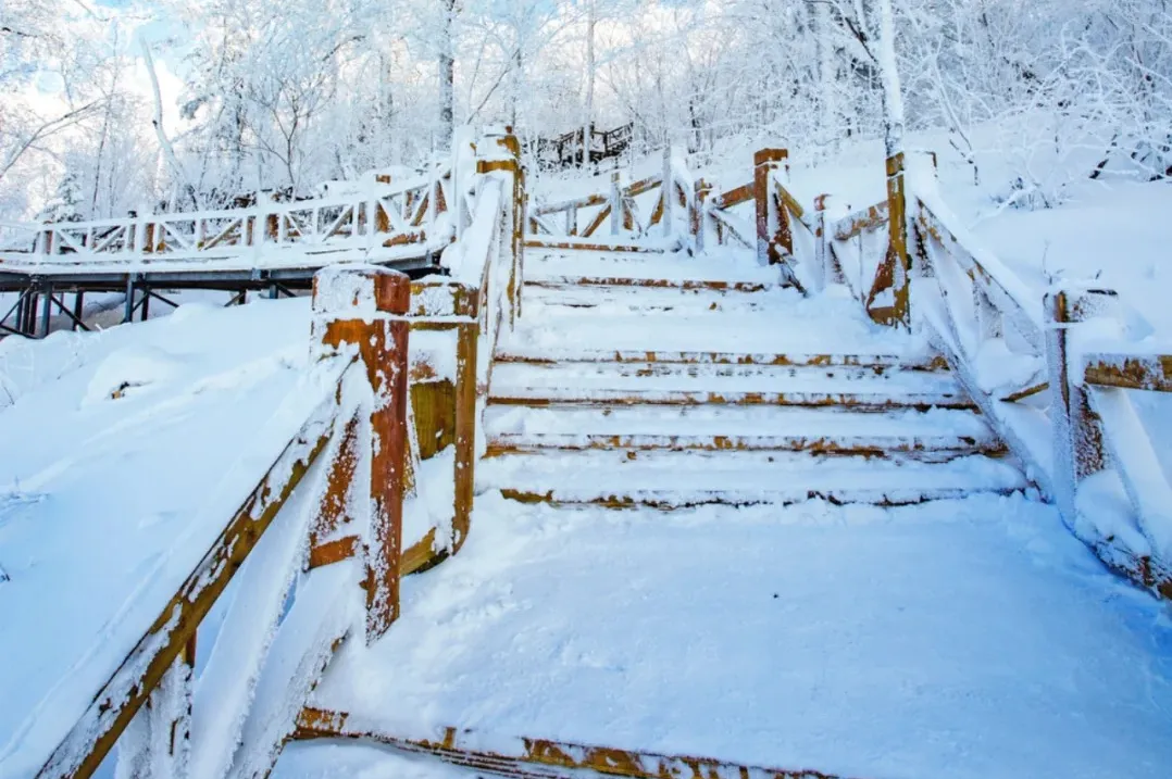 c403eb8276a364a979ebf59bcb337918-sz_426966-1 c403eb8276a364a979ebf59bcb337918-sz_426966-1