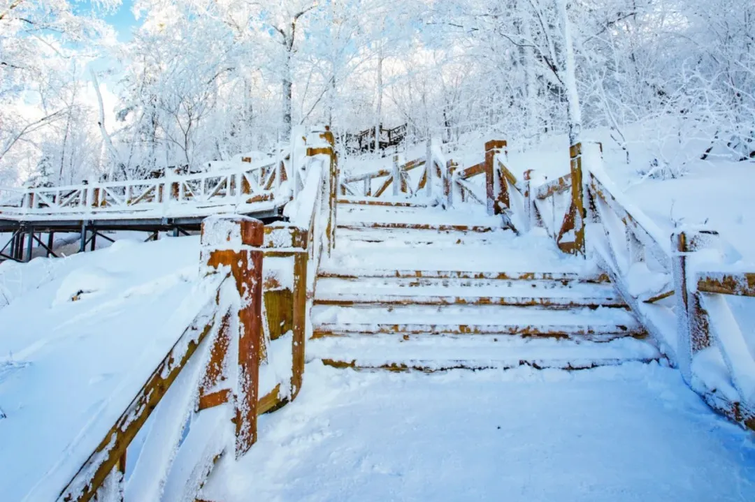 c403eb8276a364a979ebf59bcb337918-sz_426966