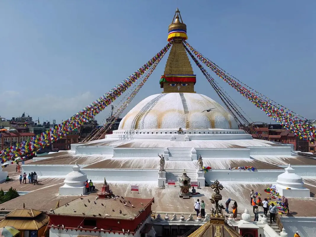 c4186e763321919d09396d0f37a03515-sz_142723-1