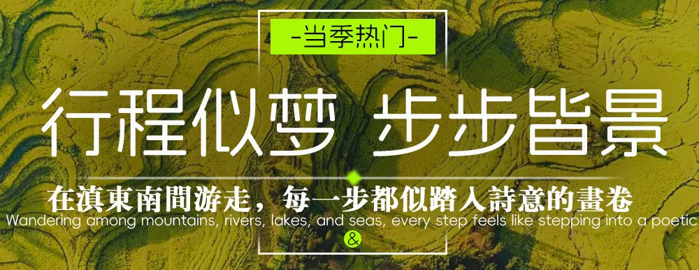 c41c0c7089e802d47973b3daf0b7acc9-sz_984771