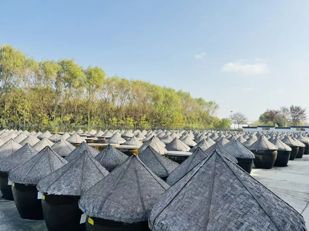 c4269269d63e2eb4ad1995f9766f3c5c-sz_434129