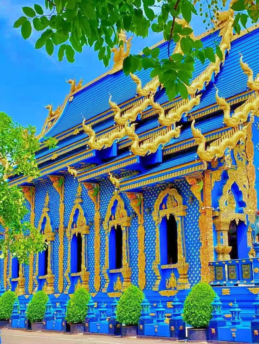 c43c2f3739f432a8b7b2f62136793773-sz_1790901 c43c2f3739f432a8b7b2f62136793773-sz_1790901