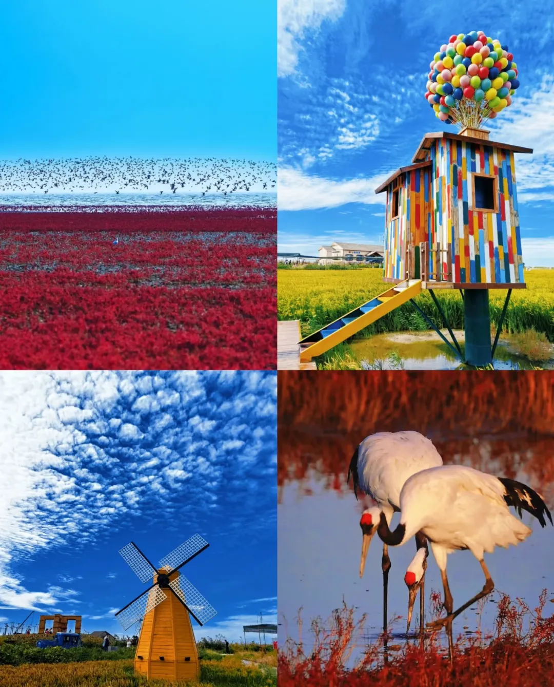 c44804417e98e8f193f97e29fba1d192-sz_669881