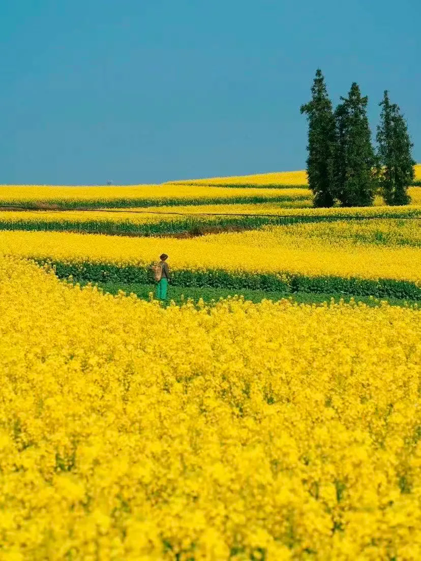 c46f60292231c8f23662678c228f0dc2-sz_1521595