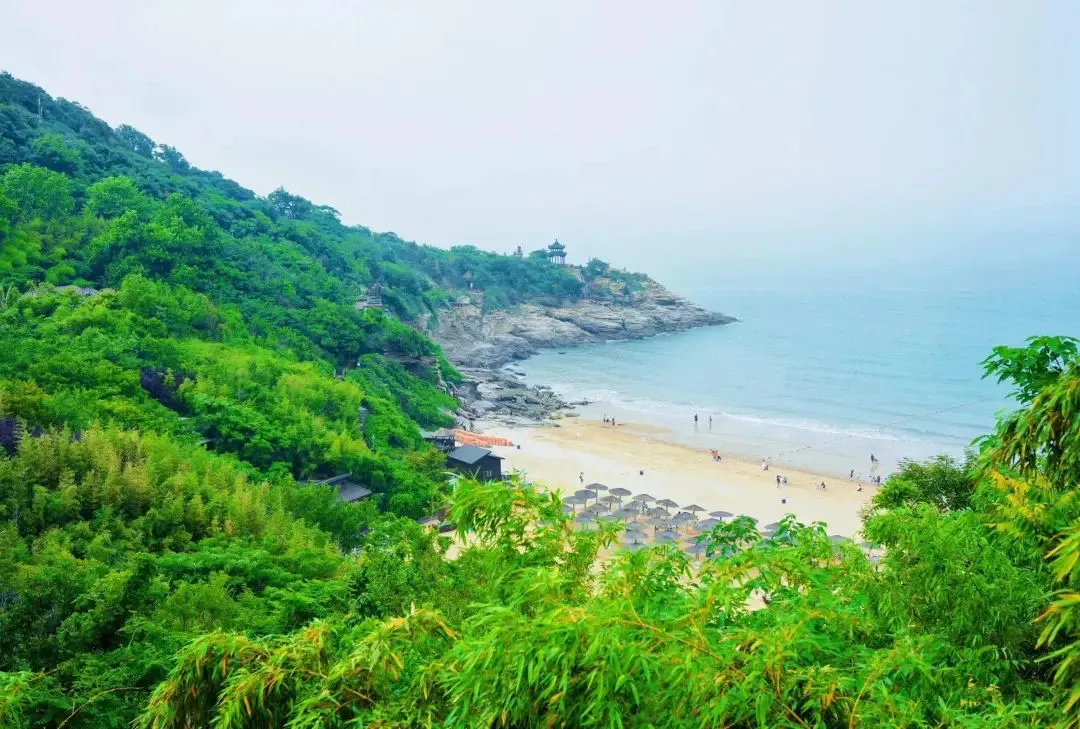 c494d50e61dc294bdc145548632ab8b2-sz_158893