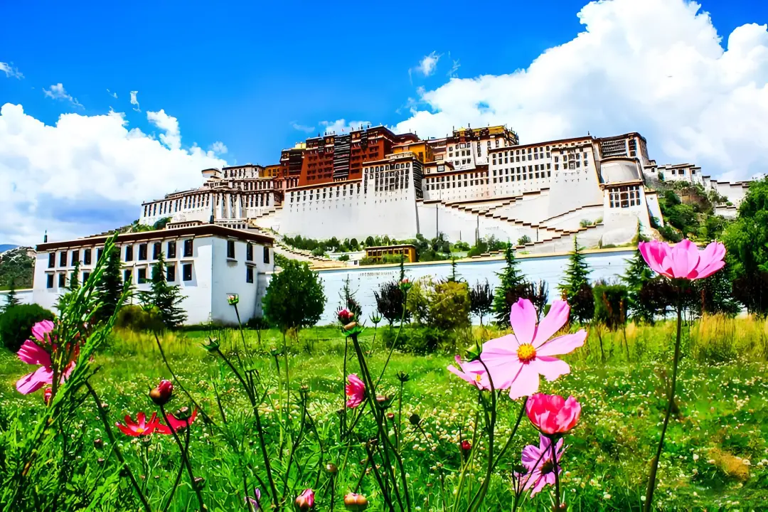 c4cecb0abf46d7d93c7a2d96c45e1aa7-sz_977738