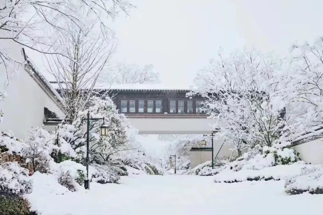 c51d45bcec4a9d6c9fb009ea2045df84-sz_451606