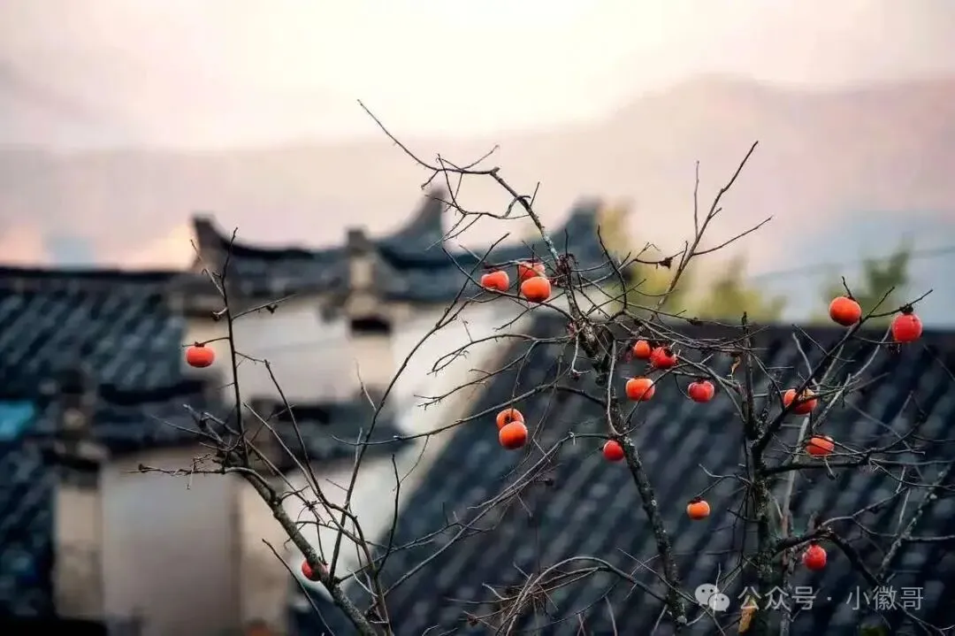 c52f177618c1067c5265920f4b53b92c-sz_96277 c52f177618c1067c5265920f4b53b92c-sz_96277