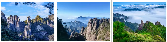 c53515f26e9df1ac0fcceefaaa588d6c-sz_247121