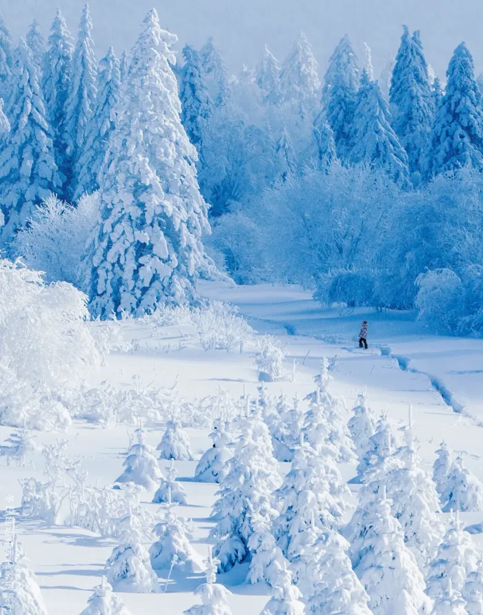 c54426ae765a3590ff9ef15c5690f2ff-sz_1167342-1