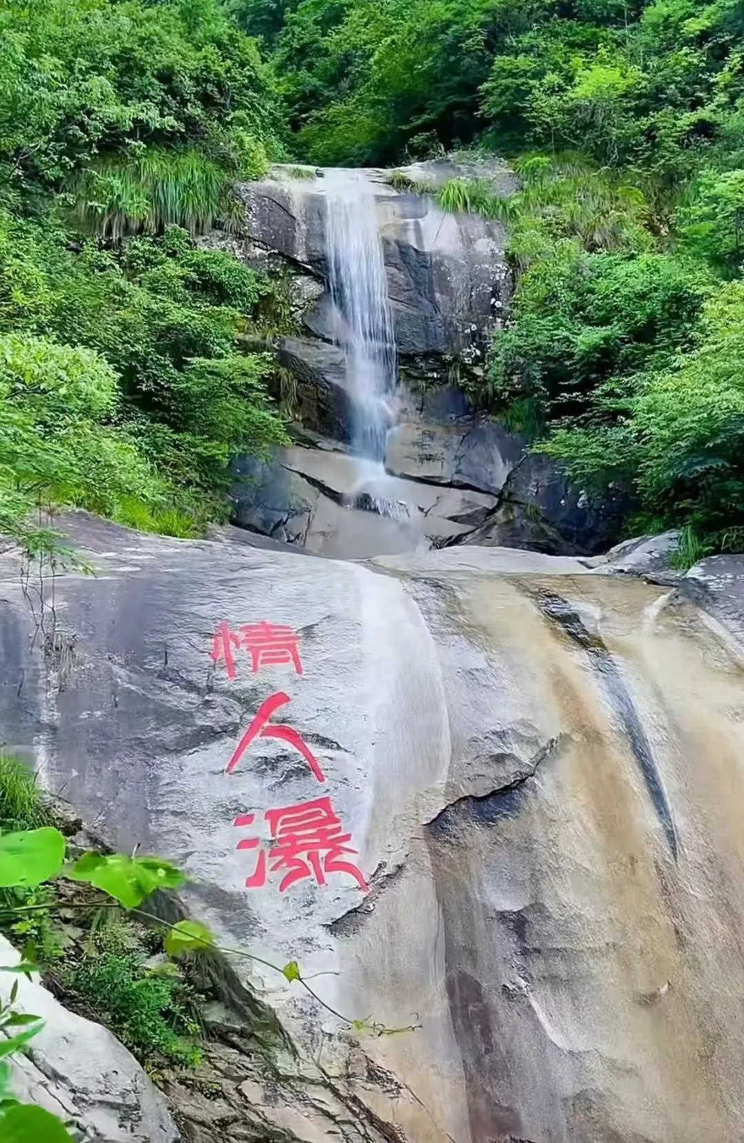 c58cc2c7b5998259f9a74610d3186c05-sz_378415 c58cc2c7b5998259f9a74610d3186c05-sz_378415