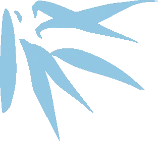 c591779e398e2249b3bdcb4dc6ddc821-sz_3537 c591779e398e2249b3bdcb4dc6ddc821-sz_3537