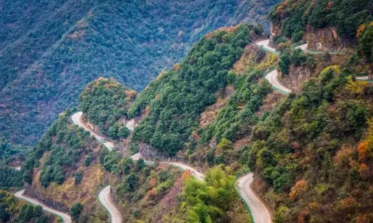 c5b2472fd7f8d1dbcad12e971f5feec4-sz_480009