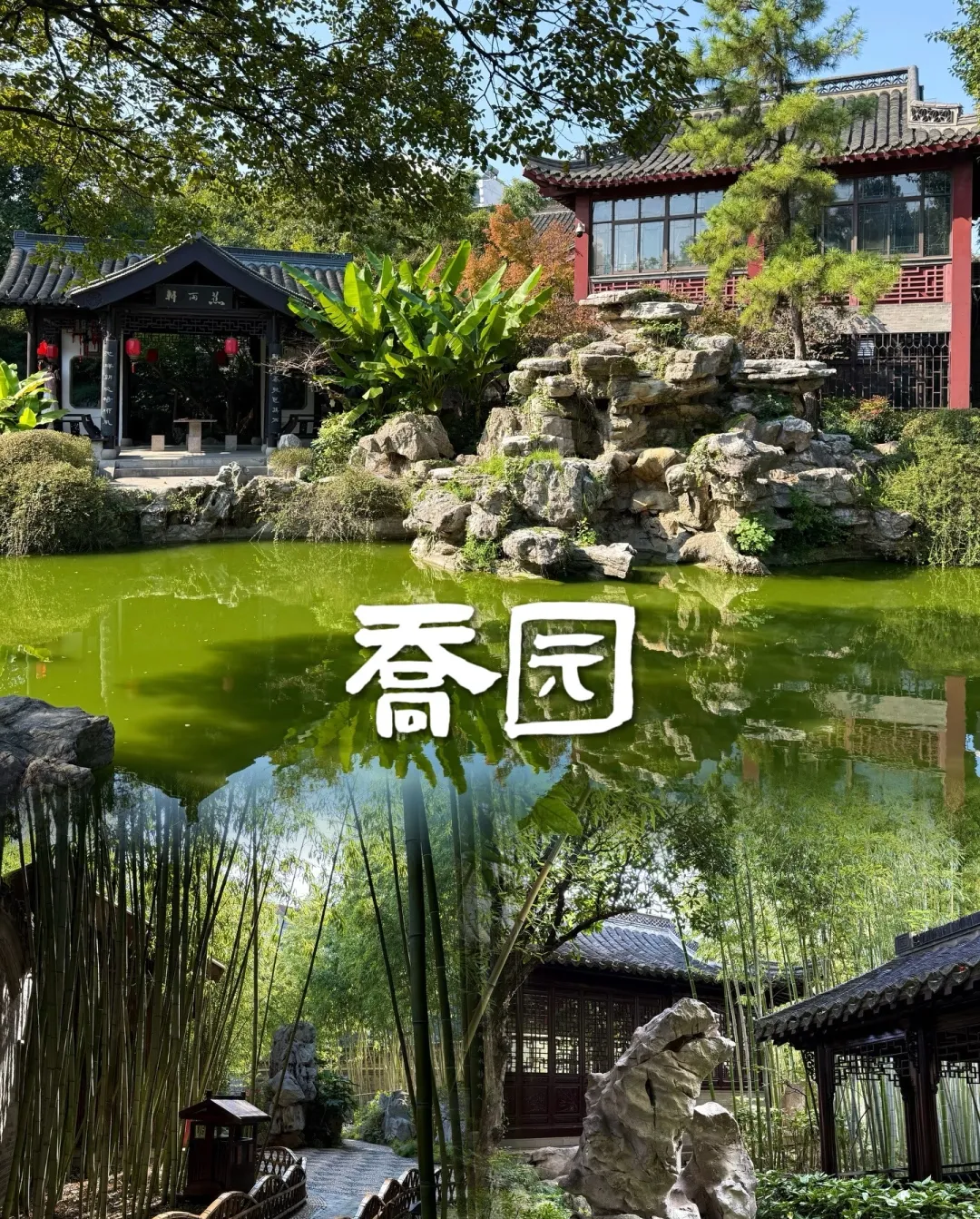 ☞泰兴放大招丨399元全程跟车4日游，赠送溱湖湿地公园门票❤赠送每人一只大闸蟹❤赠送棋牌麻将娱乐