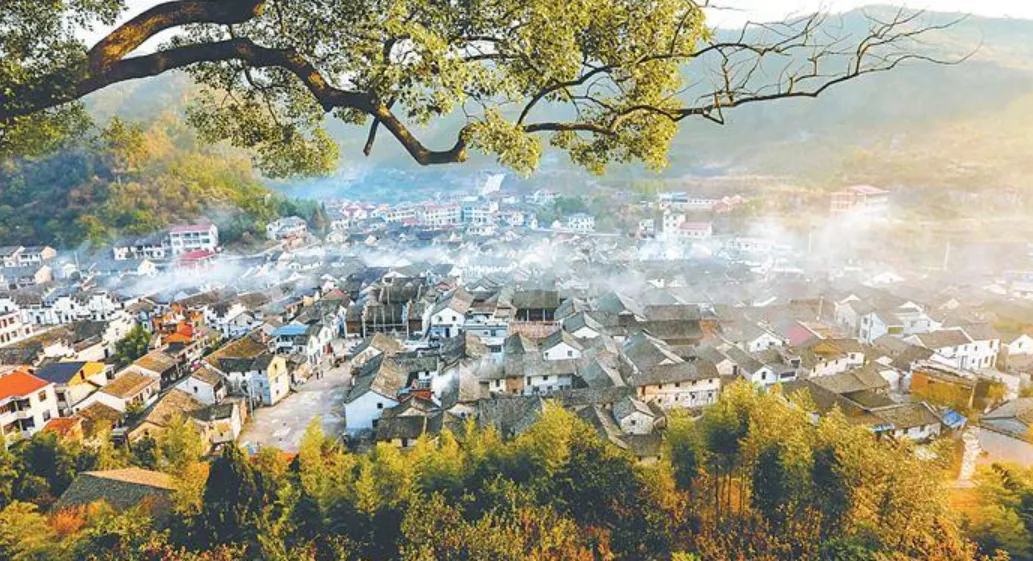 c601e99642eab63acf0415e919b1e6b8-sz_520974