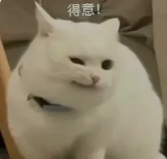 c6167130404d58fefe5a036eb1457623-sz_91351 c6167130404d58fefe5a036eb1457623-sz_91351