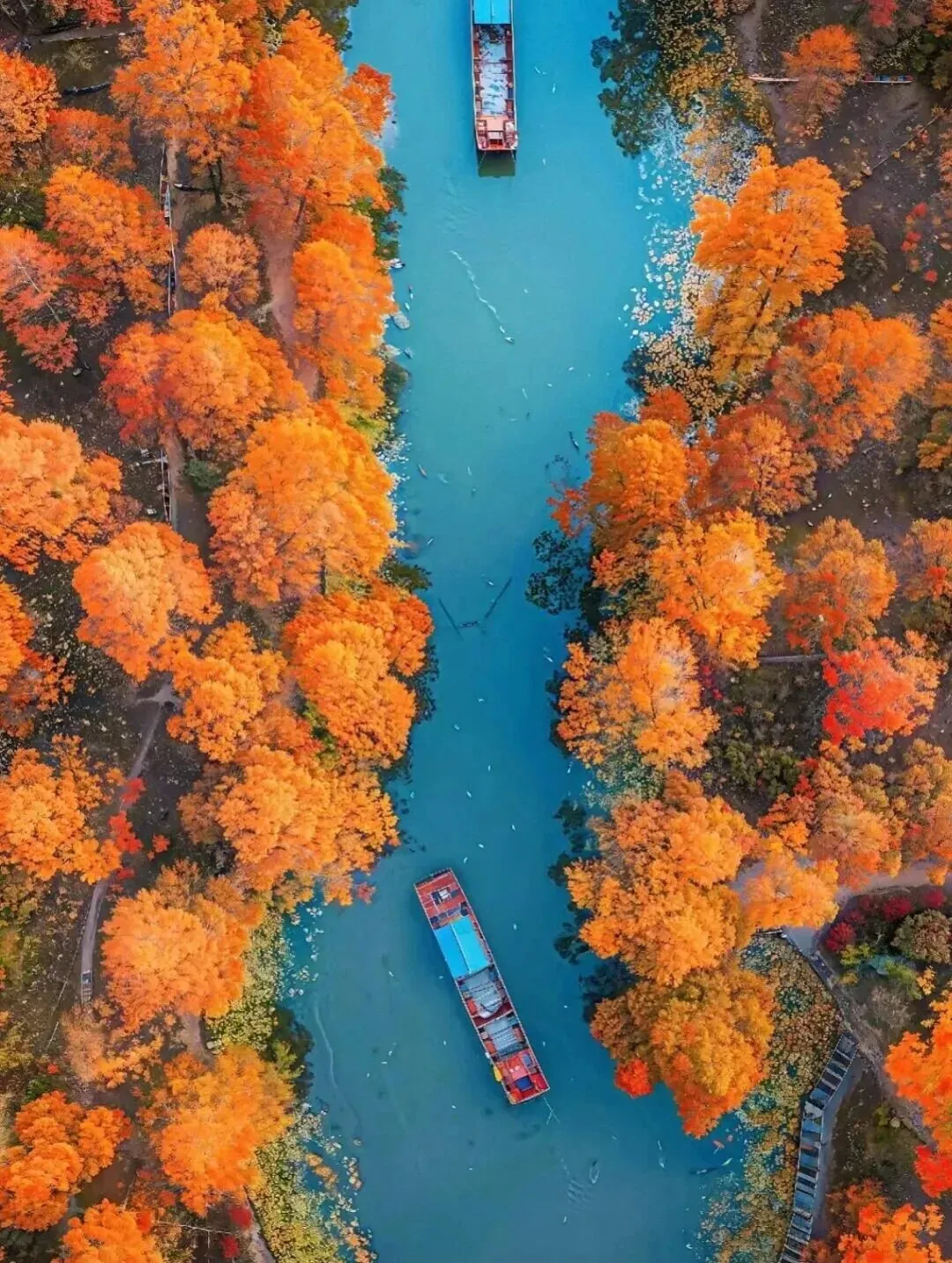 c61c89f2945f8abf04deff8d9234d44b-sz_332475